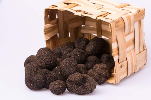 truffe d'été