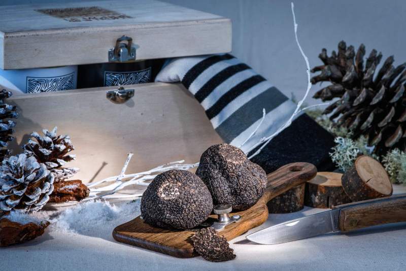 Le Monde de la Truffe Spécialiste &amp; Fournisseur de Truffes