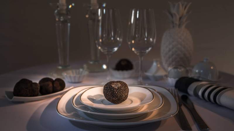 Le Monde de la Truffe Spécialiste &amp; Fournisseur de Truffes